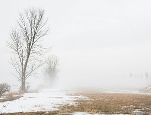 Combat Seasonal Affective Disorder or the Winter Blues in West MI